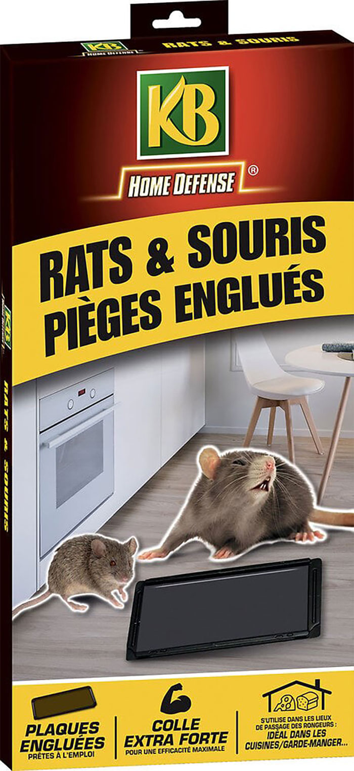 Espace Maison - Set of 2 glue traps for rats and mice