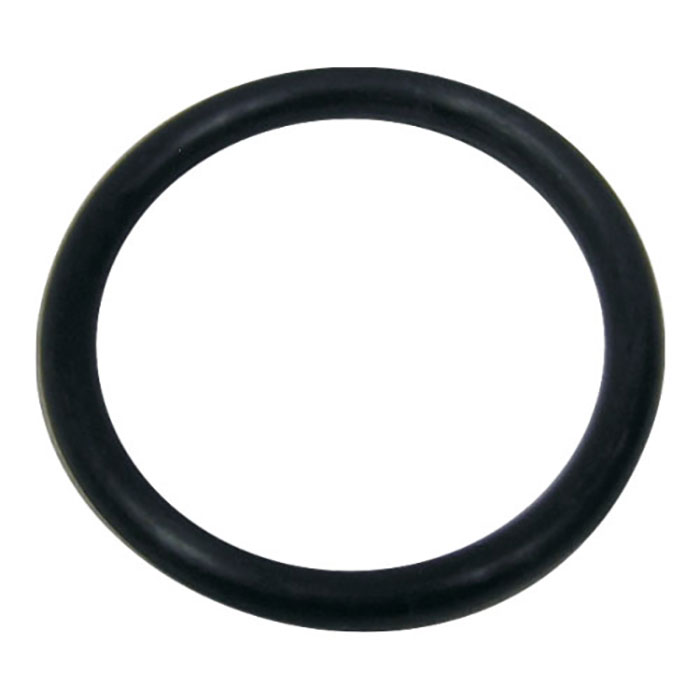 Espace Maison - O-ring for filter tank fitting