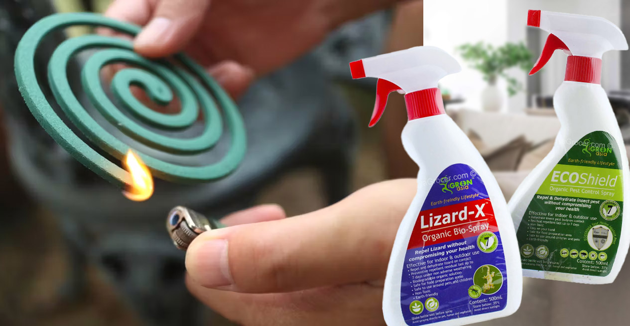 Discover effective solutions to repel mosquitoes, lizards, and bed bugs. Enjoy a bite-free, relaxed summer at home.