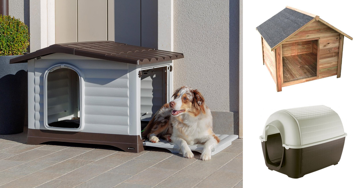 Choosing the Perfect Kennel for Your Furry Friend